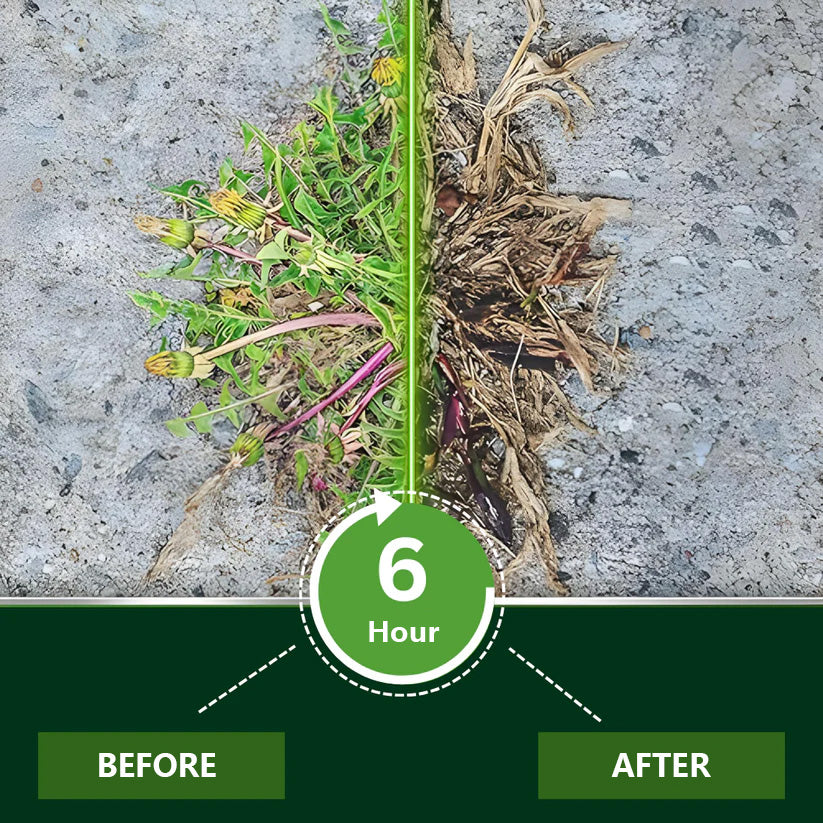 🌟 Official WeedVance® Store | ⚡ Visible Results in Just Hours with 2-in-1 Max Power Herbicide