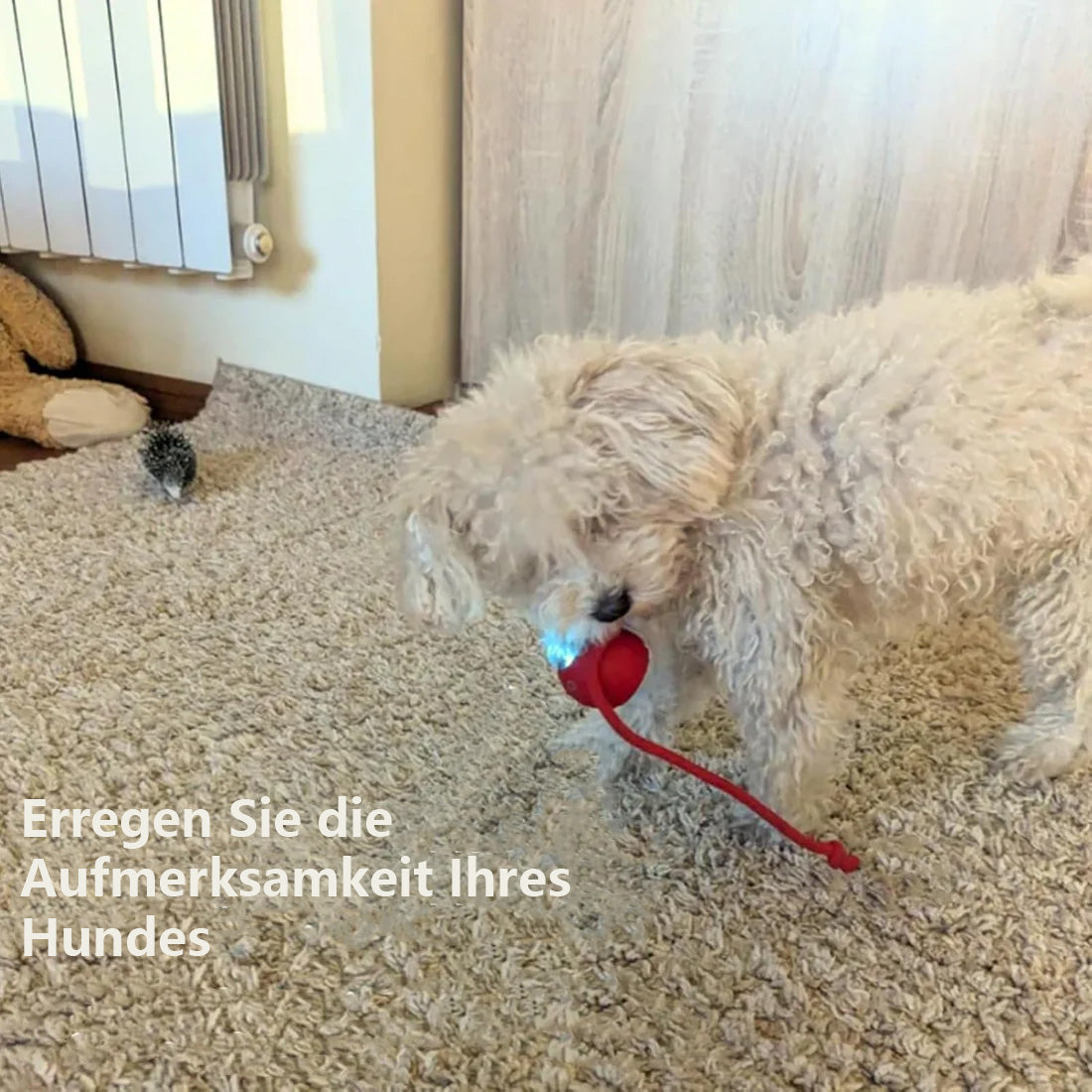 SEURICO™ Intelligent automatisk rullande husdjursboll