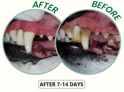 ✨ PawLuminate™ – The Vet-Trusted Way to Brighten Your Pet’s Smile