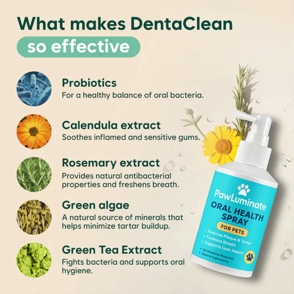 ✨ PawLuminate™ – The Vet-Trusted Way to Brighten Your Pet’s Smile