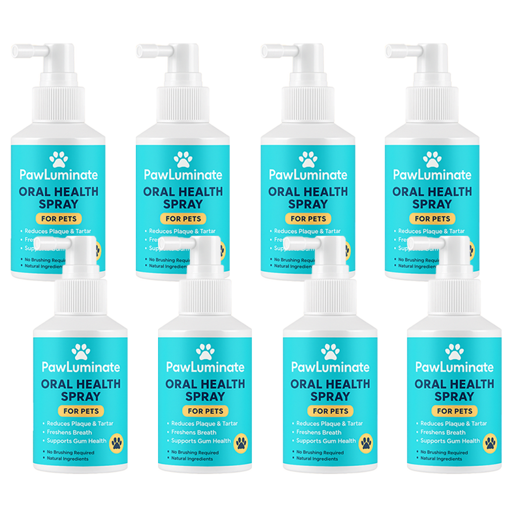 ✨ PawLuminate™ – The Vet-Trusted Way to Brighten Your Pet’s Smile 2