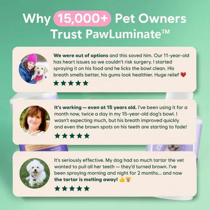 ✨ PawLuminate™ – The Vet-Trusted Way to Brighten Your Pet’s Smile