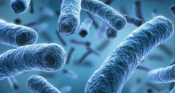 ✨ PawLuminate™ – The Vet-Trusted Way to Brighten Your Pet’s Smile