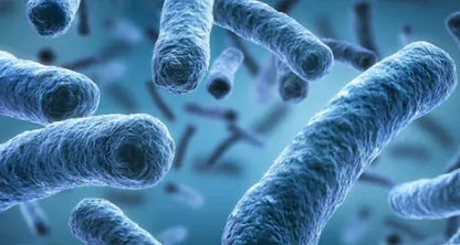 ✨ PawLuminate™ – The Vet-Trusted Way to Brighten Your Pet’s Smile