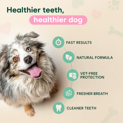 ✨ PawLuminate™ – The Vet-Trusted Way to Brighten Your Pet’s Smile